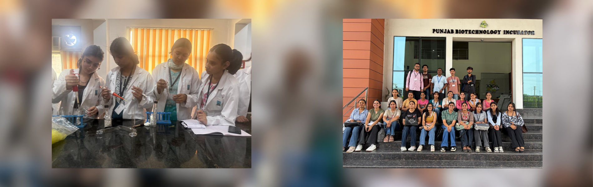Summer Course on Functional Foods and Quality Assurance 